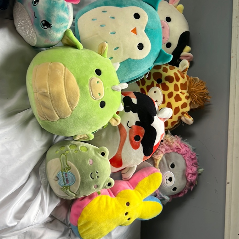 Cute stuffed animals and squishmellows